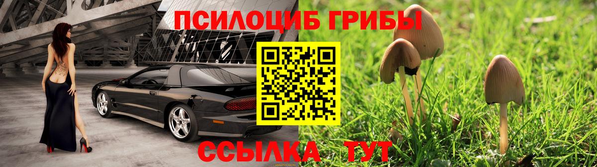 Псилоцибиновые грибы Cubensis  Вход с VPN  Еманжелинск 